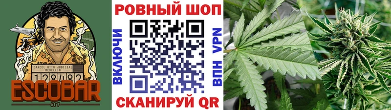 Купить наркоту Сургут Каннабис  A PVP  MEGA ONION  Меф мяу мяу 